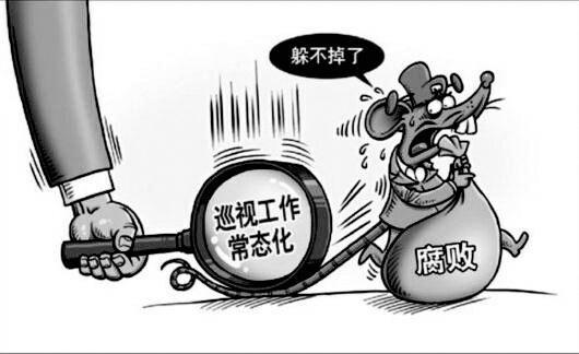 省委巡视组向26家单位反馈专项巡视情况 