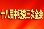 十八届中央纪委三次全会